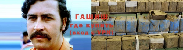 прущие грибы Аркадак