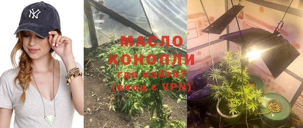 прущие грибы Аркадак