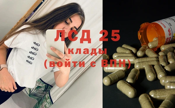 прущие грибы Аркадак