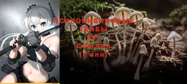 соль курить ск Армянск