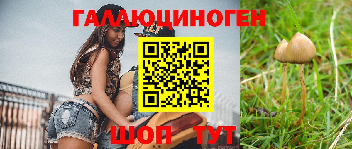 Псилоцибиновые грибы Cubensis  Вход с VPN  Родники 
